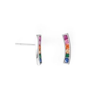 💫 Rhodium Plated Rainbow CZ Earrings